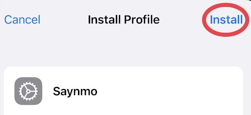 Install Saynmo